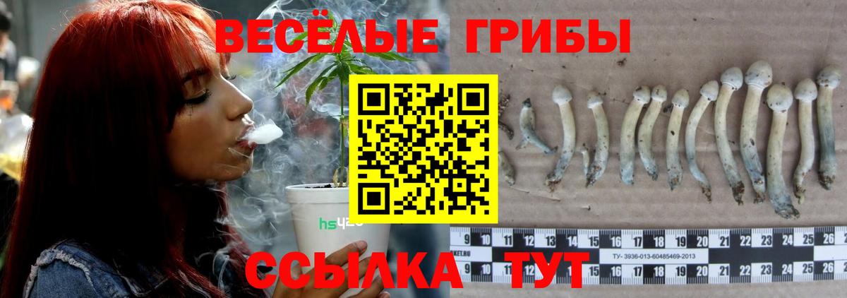 Псилоцибиновые грибы MAGIC MUSHROOMS Славгород
