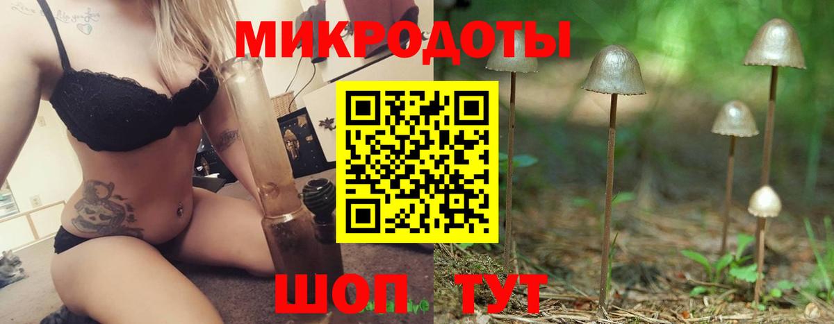 Галлюциногенные грибы мицелий  Вход с VPN  Славгород 